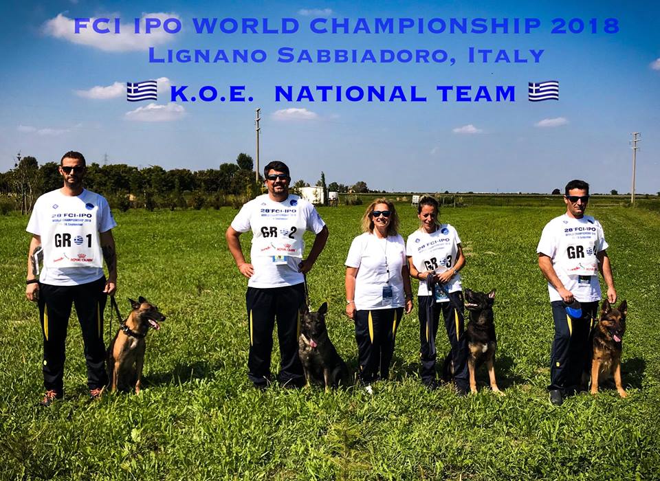 FCI IPO 2018 GREEK TEAM 1