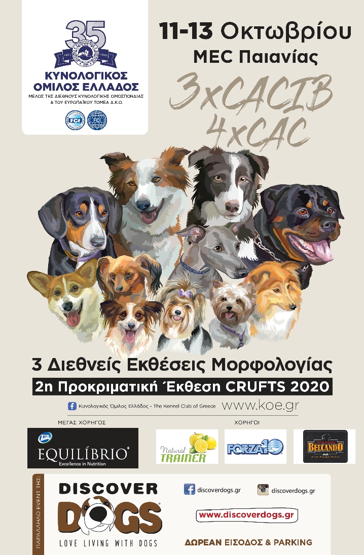 DD KOE 38x58 POSTERsmall